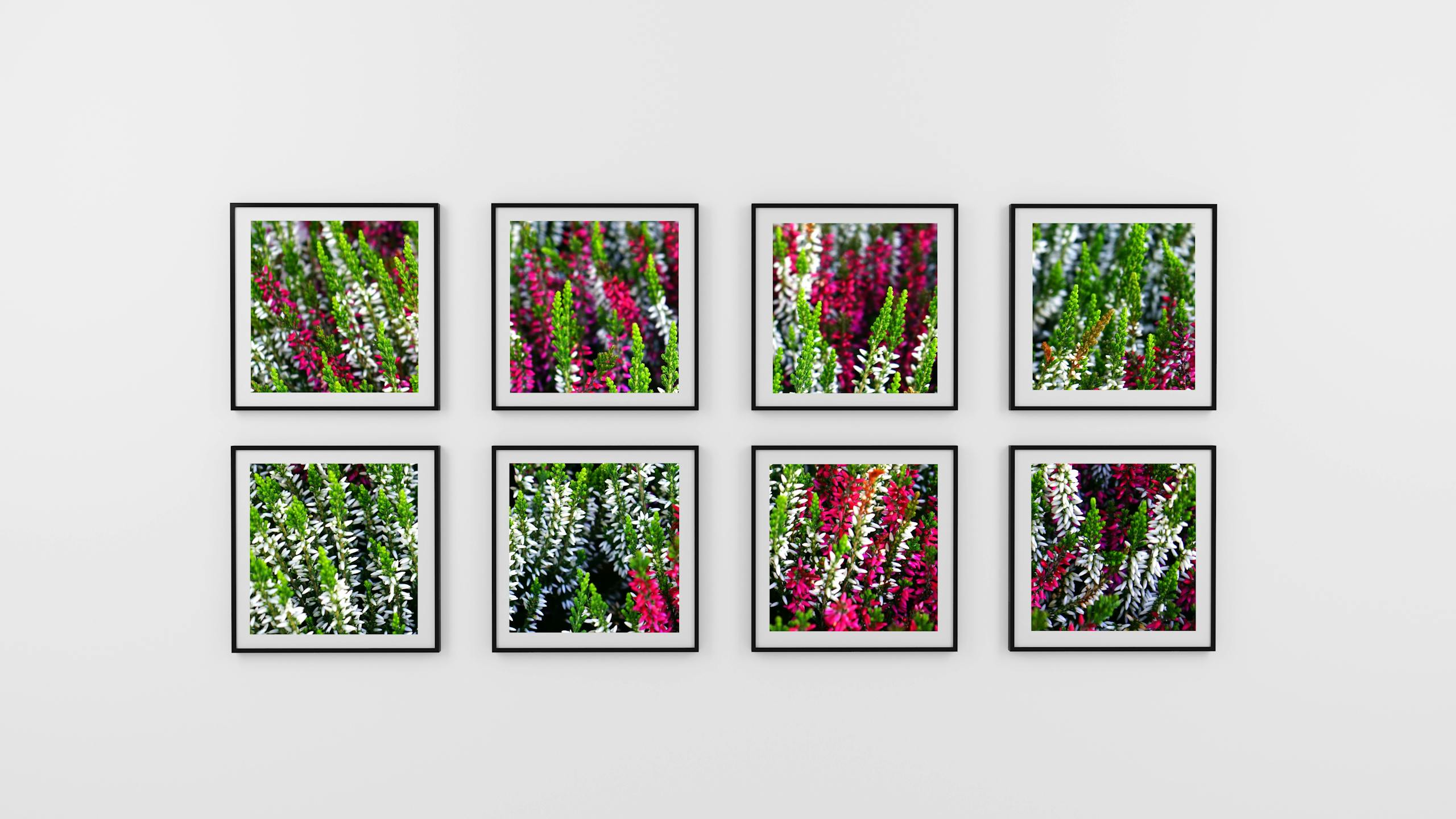 Eight Photo Frame of Flowers